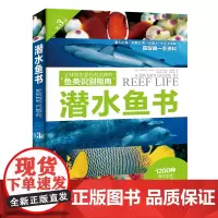 水下摄影 鱼类识别潜水爱好者喜爱的珊瑚礁鱼类识别指南书 潜水爱好者几乎人手一本的“鱼书 告别鱼盲 变身鱼类专家