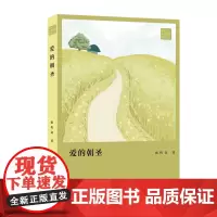 爱的朝圣 张传奇著 青年文学粤军丛书 探讨爱情、婚姻、家庭以及人性的长篇小说 花城出版社