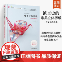 滨直史的唯美立体剪纸 含全彩模板纸 立体剪纸手工制作方法技巧详解书籍 立体剪纸自学教程 家庭游戏亲子纸艺手工DIY制作教