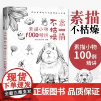 素描不枯燥 素描小物100例精讲画画入门自学零基础学绘画教材人物结构石膏静物手绘教程书临摹画册本铅笔画初学者速写基础书籍