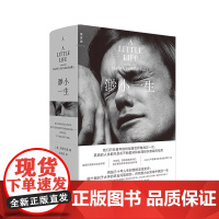 渺小一生 2025新版 柳原汉雅 蔡康永 四个好友三十年人生起落的友谊史诗 Apple年度文学类图书第1名 贵州大学