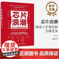 芯片浪潮 纳米工艺背后的全球竞争 余盛 纳米工艺的全球角逐史|芯片制造领袖人物的商战史 电子工业出版社