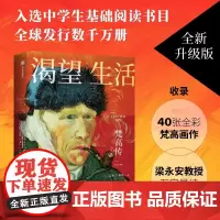 渴望生活 梵高传 了解梵高绕不开的经典 新增梵高年表 新增梁永安教授长文导读 40张全彩印刷梵高油画作品 正版书籍