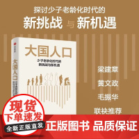 大国人口 中信出版社 少子老龄化时代的新挑战与新机遇 任泽平白学松著 人口变局引发经济转行消费变迁 老龄人口变化研究