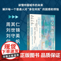 向心城市 迈向未来的活力宜居与和谐 大国大城姐妹篇 陆铭作品 中国城市建设研究世纪文景另著空间的力量中国经济书籍正版