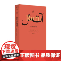 火 鲁米抒情诗 伊朗著名导演阿巴斯精编细选的鲁米诗集 诗人翻译家黄灿然翻译 波斯诗歌传统 感受波斯先贤鲁米的人生智慧