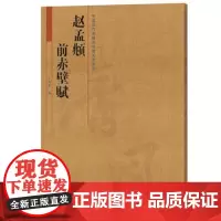 赵孟俯行书前赤壁赋放大本 中国历代名碑名帖赵孟頫行书字帖笔书法入门自学技法临摹鉴赏书籍 河南美术出版社