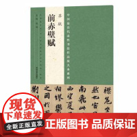 正版 中国代表性书法作品放大本系列 苏轼《前赤壁赋》 张海 河南美术