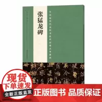 正版 中国代表性书法作品放大本系列 张猛龙碑 张海 河南美术