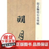 赵孟俯行书前后赤壁赋 中国历代名碑名帖精选系列 赵孟頫行书字帖笔书法入门自学技法临摹鉴赏书籍 河南美术出版社