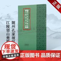 随州孔家坡汉简 江陵望山楚简 中国古代简牍书法精粹 艺术篆刻字帖 古代民间书法练字帖精选放大本 毛笔简牍书法 河南美术出