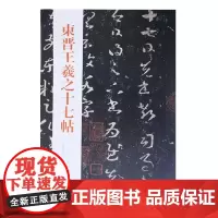 正版 中国历代经典碑帖—东晋王羲之十七帖 秦绪全 草书碑帖临摹书法学习书籍 山东美术出版社