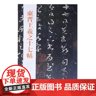 正版 中国历代经典碑帖—东晋王羲之十七帖 秦绪全 草书碑帖临摹书法学习书籍 山东美术出版社