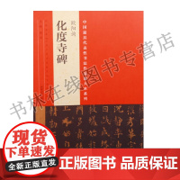 欧阳询化度寺碑 张海 中国具代表性书法作品放大本系列 毛笔字帖碑帖技法临摹鉴赏书法初学者基础教程教材书籍 河南美术出版社