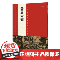 正版 中国代表性书法作品 等慈寺碑(第二版) 张海 河南美术