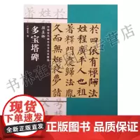 正版 中国古代碑志法书范本精选 颜真卿 多宝塔碑 谭文亮编 碑帖书法临摹书籍 河南美术出版社