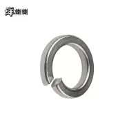 洋蝲蝲 标准型弹簧垫圈 M8 单位:个