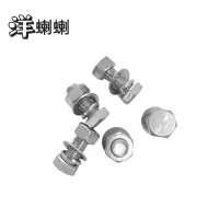 洋蝲蝲 穿钉带帽 M16×100mm 单位:套