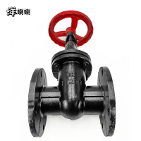 洋蝲蝲 法兰阀门 DN100 单位:个