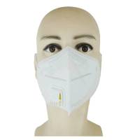 洋蝲蝲 防护口罩 KN95 支