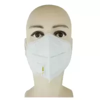 洋蝲蝲 防护口罩 KN95 支