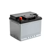 洋蝲蝲 蓄电池 GFM-500 只