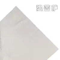 温蕾萨 无纺布 WLS-BF65 65g/㎡克重 平方米