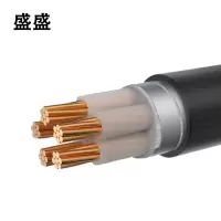 盛盛 铜芯铠装电缆 YJV22 3*120+2*70 米