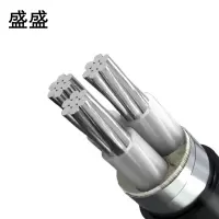 盛盛 铝芯铠装电缆 YJLV22 米(YJLV22 3*95)