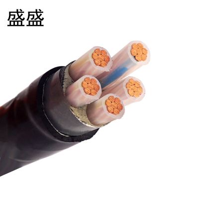 盛盛 铜芯铠装电缆 YJV22 4*35+1*16 米