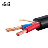 盛盛 橡套防水电缆 YC2*2.5 米