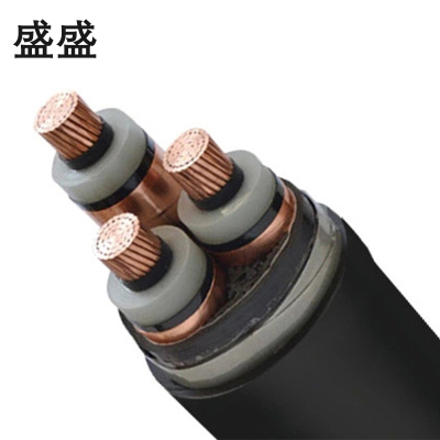 盛盛 铜芯铠装电缆 YJV22 3*70 米