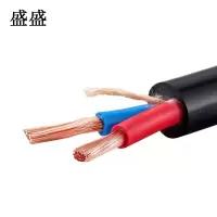 盛盛 橡套防水电缆 YC2*10 米