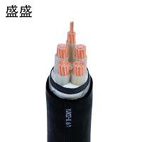 盛盛 铜芯铠装电缆 YJV22 4*95+1*50 米