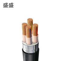 盛盛 铜芯铠装电缆 YJV22 4*95 米