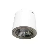 磐达 LED明装筒灯PZL014 36W 套