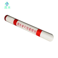 晟本+拉线保护套+φ110×1000mm+φ20×1500mm+套