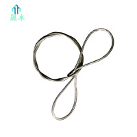 晟本 钢丝套 直径30mm*2m 根
