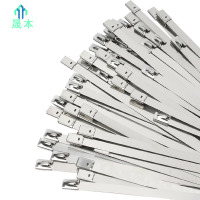 晟本 不锈钢扎带 4.6*1100mm 根