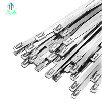 晟本 不锈钢扎带 7.9*1300mm 根