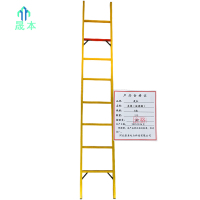晟本 直梯(玻璃钢) 8米 个