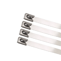 不锈钢扎带 4.6*300mm