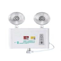 消防应急灯 照明灯 个