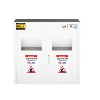 不锈钢气瓶柜 304矮双瓶液化气报警