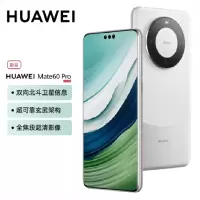 华为Mate60 Pro 12GB+1TB 白沙银 88W快充 全焦段超清影像 鸿蒙OS 120Hz昆仑玻璃屏 支持卫星通话 全网通手机