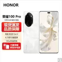 荣耀100 Pro 月影白 16GB+256GB 单反级主摄 120Hz四曲屏 第二代骁龙8 5G芯 立体声双扬声器 OIS光学防抖 5G拍照时尚手机