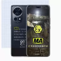华为 Nova12 Pro 256G 防爆手机 化工厂加油站石油天然气药厂专用 全网通5G防爆巡检手机NFC