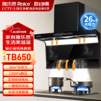 雅乐思TB650顶侧双吸 26立方大吸力 1200Pa静压 900宽 变频全封铜线电机 国标一级能效-门店自装