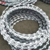 刀片刺绳 直径500mm 单位:米