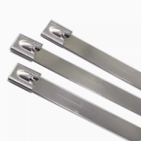 淮舜物资 不锈钢扎带 12*800 单位根